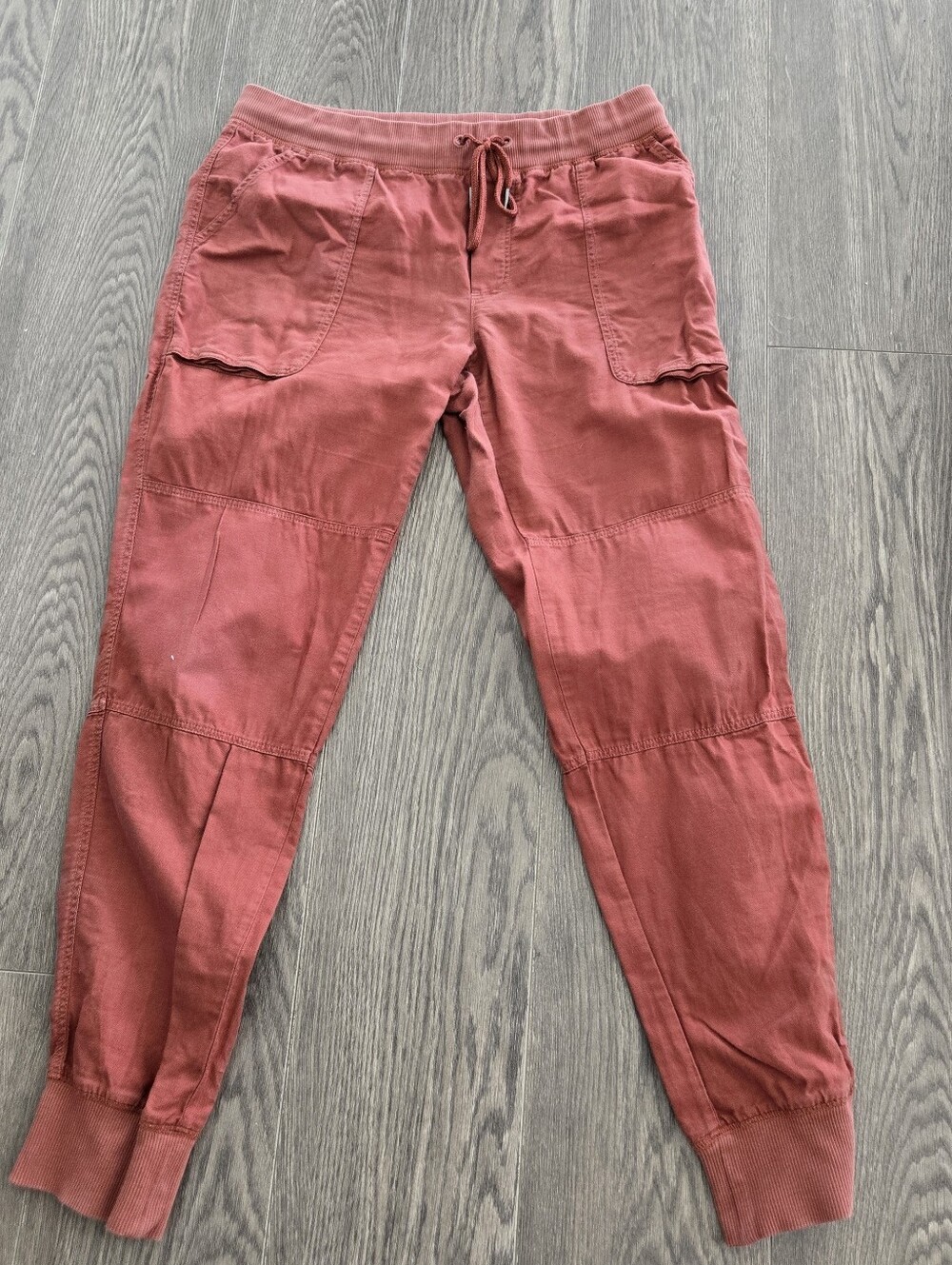Aritizia Community Cargo Jogger Pants